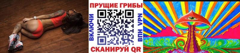 Купить закладки  Балей  Псилоцибиновые грибы прущие грибы 
